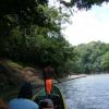 Embera Puru man guiding the canoe through the Chagres River to the village.  