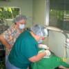 Dr.Isis Johnson-Brown sharing her technique of the "Quick Spay" to some of the Spay Panama volunteer Veterinarians. 